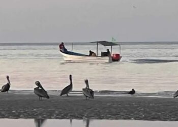 Inicia temporada de camarón; siguen redes ilegales en hábitat de vaquita