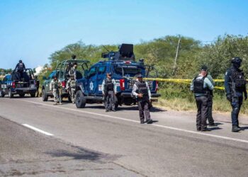 Encuentran 10 cadáveres en diferentes tramos carreteros de Culiacán