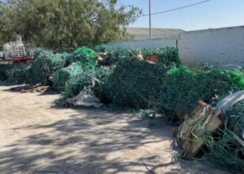 Sancionan a trailero con 108 mil pesos por tirar pacas en Nuevo León