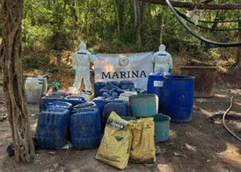 SEMAR destruye laboratorio clandestino de “Los Mayos”