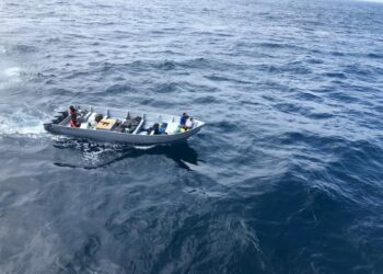 Semar incauta 19 toneladas de cocaína en 50 días