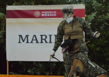 Semar asegura cargamento de metanfetamina en Veracruz