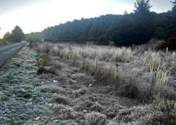 Heladas y bajas temperaturas se anticipan al Ajusco