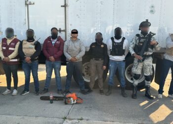 Detienen a talador clandestino en Milpa Alta con motosierra en mano