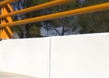 Joven fallece tras caer de puente en CDMX