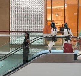 Mujer va de compras con 4 robots Tesla