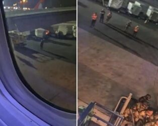 Vuelo interrumpido por gritos en la bodega