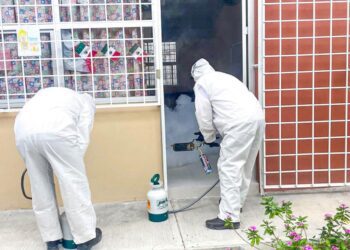 Aumento alarmante de casos de dengue en Hidalgo