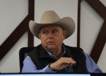 Ganaderos esperan reabrir fronteras con EU el 15 de diciembre