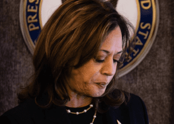 “Sigan luchando”: Kamala Harris tras perder frente a Trump