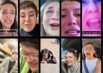 Los mejores videos de reacciones virales por la victoria de Trump