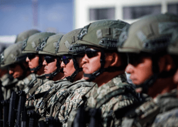 Proponen menor presupuesto para las Fuerzas Armadas en 2025