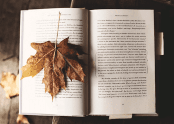 Novelas que puede leer en menos de cuatro horas en este otoño 2024