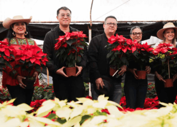 Inicia la venta de flor de Nochebuena en la Ciudad de México
