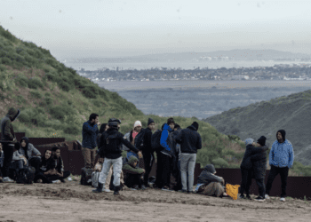 Polleros aumentan sus precios por plan antimigrante