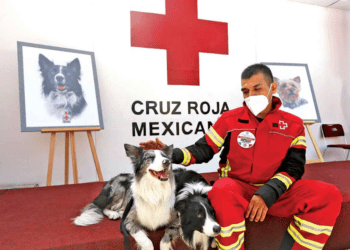 SCJN avala pena mayor para el asesino de Athos y Tango