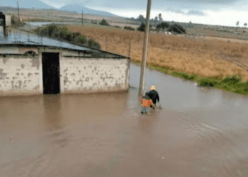 Tras desbordamiento de laguna, se inundan 20 casas en Hidalgo