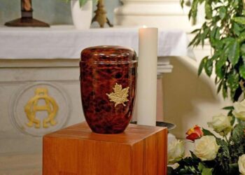 Principales causas de muerte en México, según el INEGI