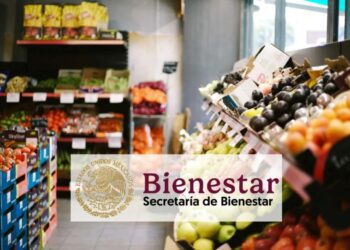 Tiendas del Bienestar: ¿cuándo abrirán y qué venderán?