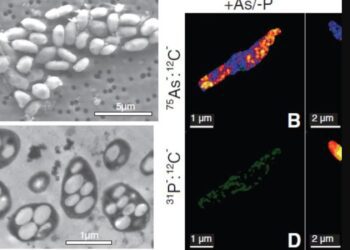 La NASA prometió en 2010 confirmar la vida extraterrestre