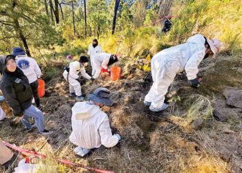 Madres buscadoras recorren el Ajusco en busca de sus seres queridos