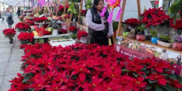 Festival Flores de Nochebuena estará en Paseo de la Reforma de la CDMX