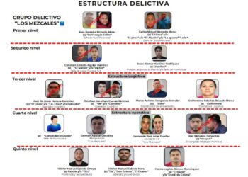 Estructura de 'Los Mezcales' en Colima incluye a 'Guillermina' y dos abogados