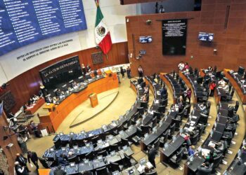 Aprueban por unanimidad la creación de Registro para proteger a mujeres