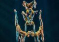 No te pierdas el espectáculo mágico del Cirque du Soleil en CDMX