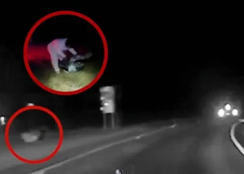 Hombre avienta a bebé por la ventana en persecución policial