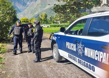 Matan a extesorero de ayuntamiento de Tlilapan