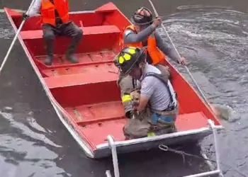 Protección Civil de Tecámac rescata a perrita atrapada en la Planta de Riego Chiconautla