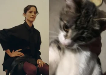 ¿Cuál es el verdadero significado de "Limón y Sal" de Julieta Venegas?