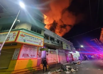 Mueren dos perritos durante incendio en bar