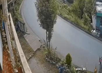 Perro ataca a motociclista por chocar