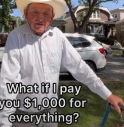 Compra todas las paletas de vendedor por mil dólares