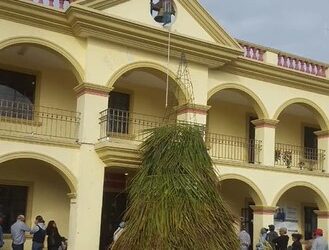 Árbol de Navidad hecho de palma, se viraliza