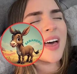 Así sonaría “Mi burrito sabanero” con Belinda
