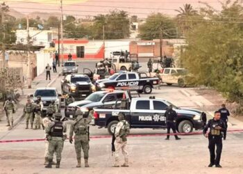 Mayiza usa drones bomba para debilitar a los hijos del Chapo