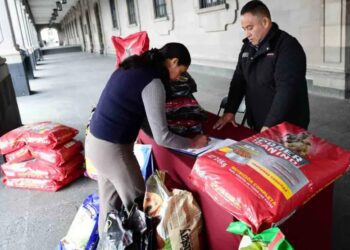 Instalan centro de acopio para perros y gatos en el Edomex