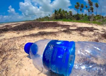 Alertan sobre el exceso de basura plástica en las fiestas de fin de año