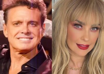 Hijo de Luis Miguel y Aracely Arámbula debutaría como cantante en 2025