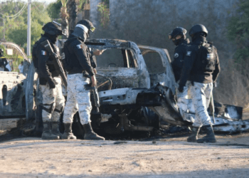 Van más de 600 muertes por guerra entre ‘Los Chapitos’ y ‘Los Mayitos’ en Sinaloa