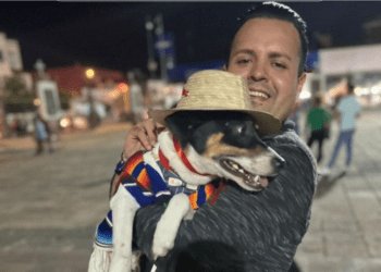 Perrito acude a agradecer a la Virgen de Guadalupe tras sobrevivir a peligrosa infección