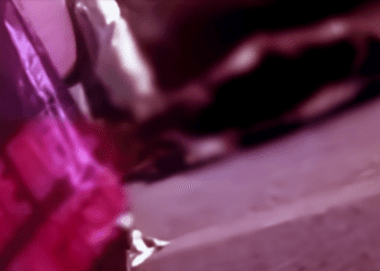 Dejan cuerpos dentro de bolsas en carretera de Guanajuato