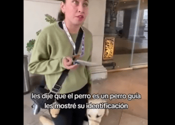 Joven con discapacidad visual denuncia a hotel en por negarle el acceso con su perro guía
