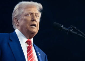 Trump deberá pagar 5 mdd por abuso y difamación a escritora