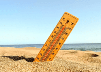 El clima extremo rompió récords durante este 2024