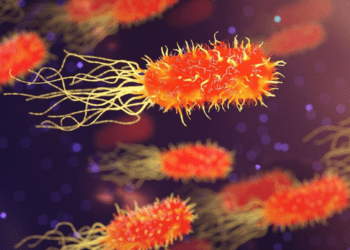 Cofepris suspende a empresa por muerte de menores en Edomex