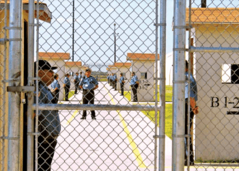 Acusan a Patrulla Fronteriza de maltratar a paisanos